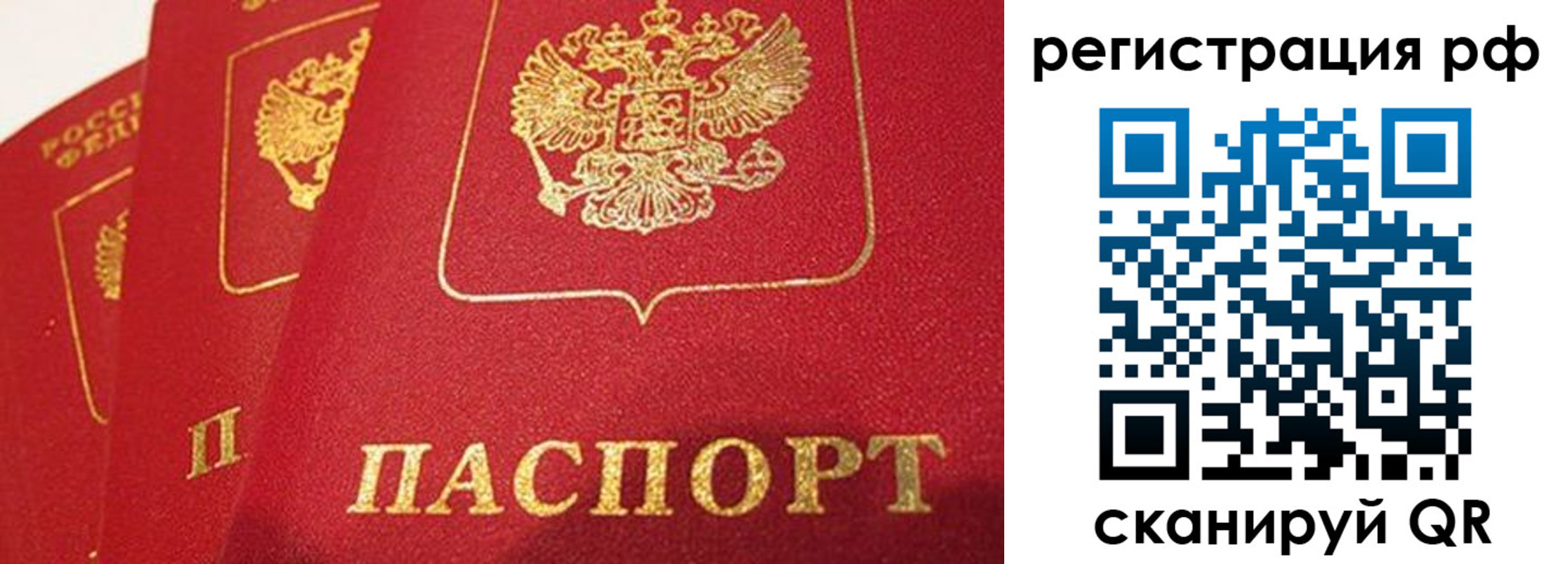 прописка поиск в Вологодской области